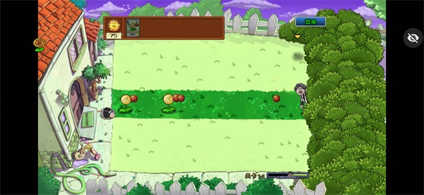 ikun大战黑子版PVZ(植物大战僵尸)