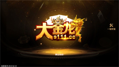 大金龙s111