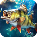 欢乐钓鱼大师无限资源最新
