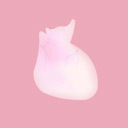 生命LIFE中文汉化版