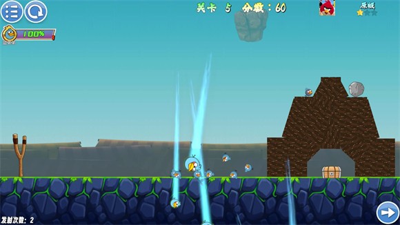 我的鸟随机版最新版