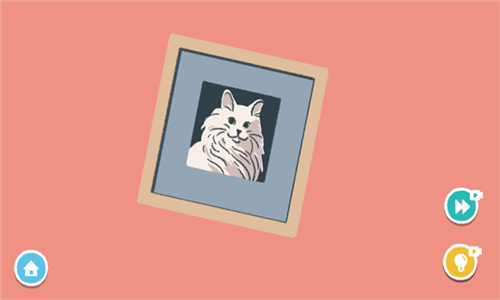 抖音收纳达人2026最新版