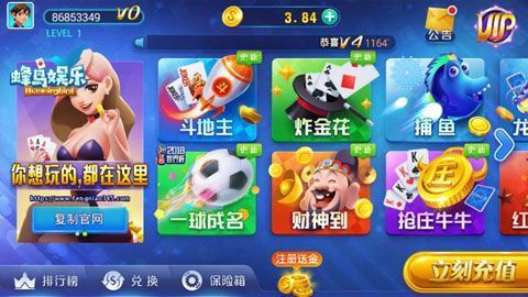 蜂鸟游戏官网
