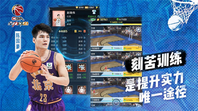 中职篮全力以赴无限钻石