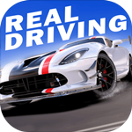 真实公路汽车2内置菜单