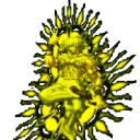 拳皇97终极魔改双蛇