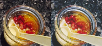 黄油相机版本大全