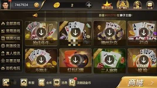 棋乐游官网761最新版本