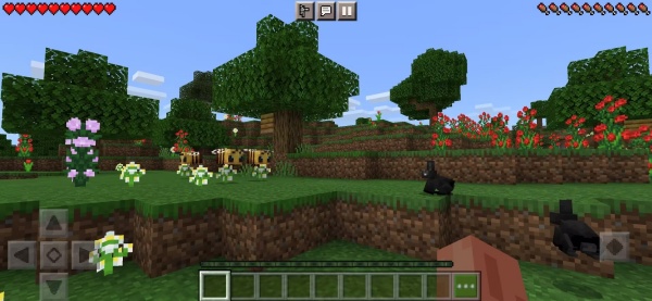 我的世界方舟生存进化免费版