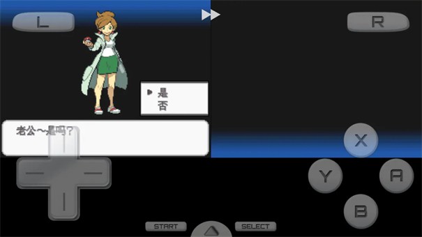 口袋妖怪超透黑2汉化版