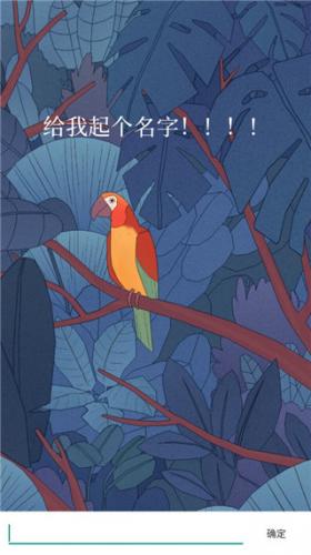 孤独的鸟儿完整版