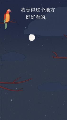 孤独的鸟儿完整版