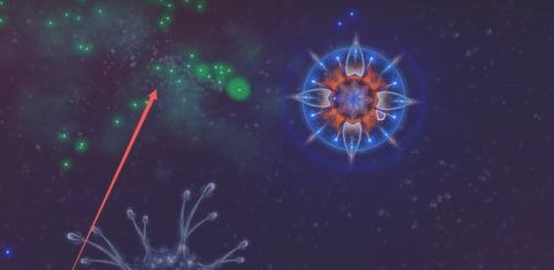 微生物模拟器全dlc