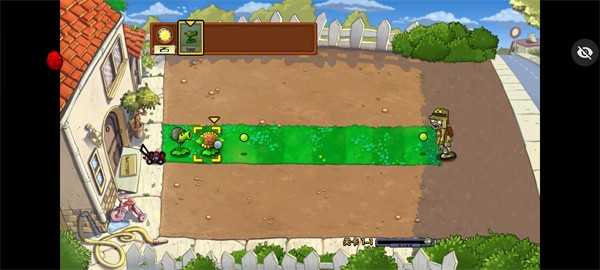 植物大战僵尸Raja版