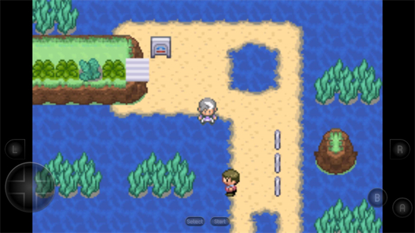 口袋妖怪生与死