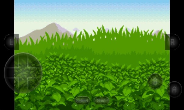 口袋妖怪生与死内置作弊菜单