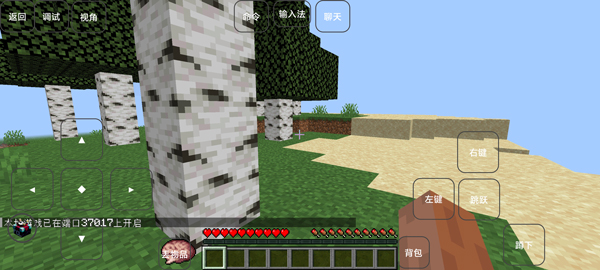 我的世界雾中人游戏