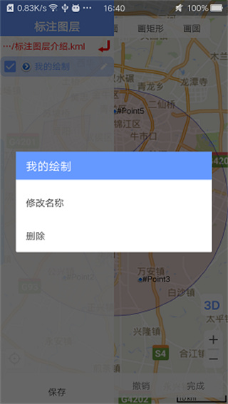 卫星地图BIGEMAP