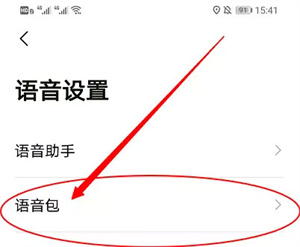 小团团语音包使用指南截图4