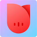 http://i-2.onegreen.net/2026/0428/5a54bdc91292c53242c50b342896d006.png