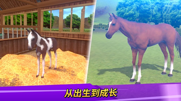 德比生活最新版