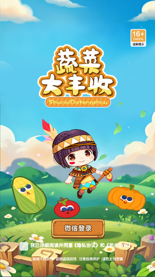蔬菜大丰收